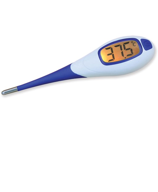 Termometro digitale  BL3